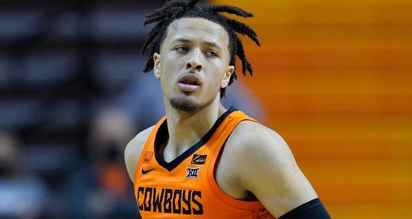 的指导下 的指导下