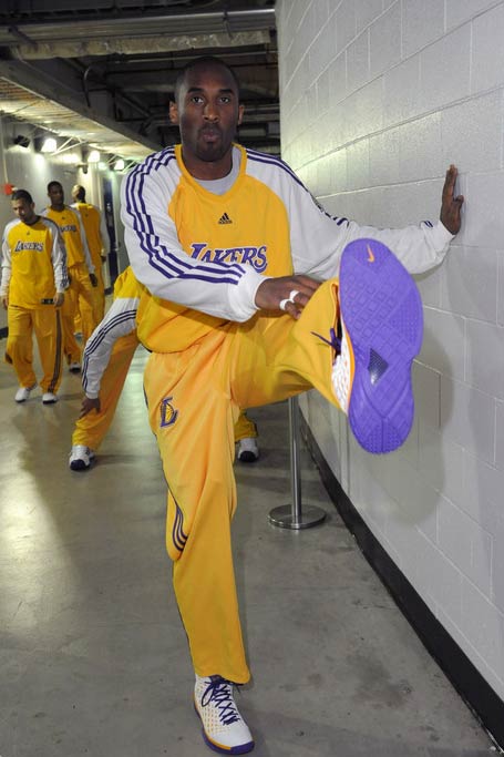 雄狮的防守 雄狮的防守