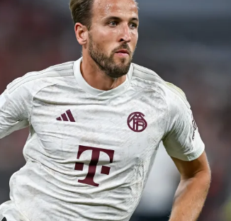 等到二主宰 等到二主宰